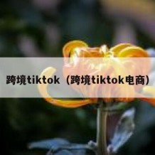 跨境tiktok（跨境tiktok电商）