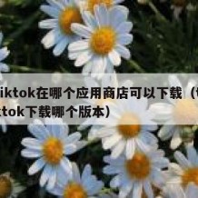 tiktok在哪个应用商店可以下载（tiktok下载哪个版本）