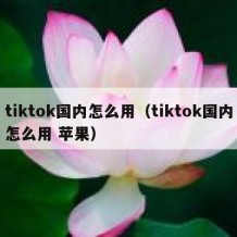 tiktok国内怎么用（tiktok国内怎么用 苹果）