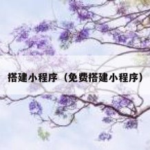 搭建小程序（免费搭建小程序）