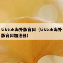 tiktok海外版官网（tiktok海外版官网加速器）