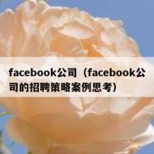 facebook公司（facebook公司的招聘策略案例思考）