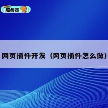 网页插件开发（网页插件怎么做）