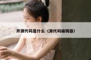 开源代码是什么（源代码编辑器）