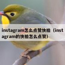 instagram怎么点赞快拍（instagram的快拍怎么点赞）