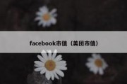 facebook市值（美团市值）