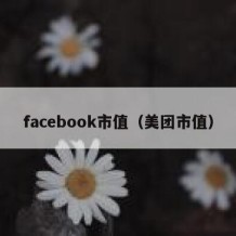 facebook市值（美团市值）