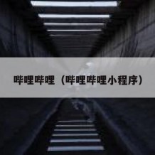 哔哩哔哩（哔哩哔哩小程序）