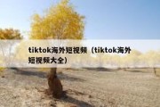 tiktok海外短视频（tiktok海外短视频大全）