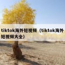 tiktok海外短视频（tiktok海外短视频大全）