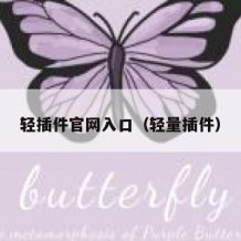 轻插件官网入口（轻量插件）