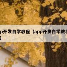 app开发自学教程（app开发自学教程pdf）