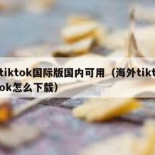 tiktok国际版国内可用（海外tiktok怎么下载）