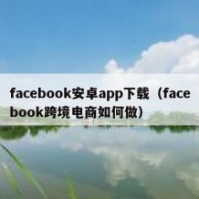 facebook安卓app下载（facebook跨境电商如何做）