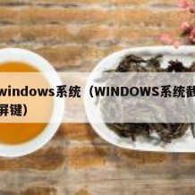 windows系统（WINDOWS系统截屏键）