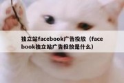 独立站facebook广告投放（facebook独立站广告投放是什么）