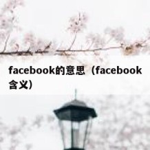 facebook的意思（facebook含义）