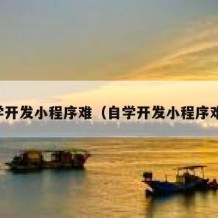 自学开发小程序难（自学开发小程序难吗）