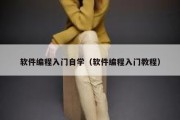 软件编程入门自学（软件编程入门教程）