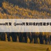 java开发（java开发环境的搭建步骤）