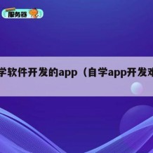 自学软件开发的app（自学app开发难吗）