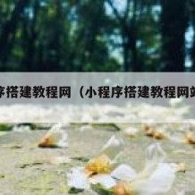 小程序搭建教程网（小程序搭建教程网站有哪些）