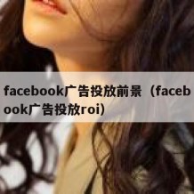 facebook广告投放前景（facebook广告投放roi）