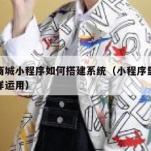 分销商城小程序如何搭建系统（小程序里的分销怎样运用）