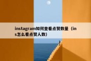 instagram如何查看点赞数量（ins怎么看点赞人数）