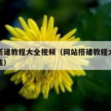 网站搭建教程大全视频（网站搭建教程大全视频下载）