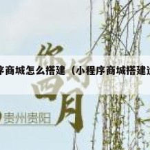小程序商城怎么搭建（小程序商城搭建运营方案）