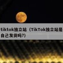 tiktok独立站（TikTok独立站是自己发货吗?）