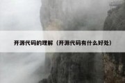 开源代码的理解（开源代码有什么好处）