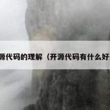 开源代码的理解（开源代码有什么好处）