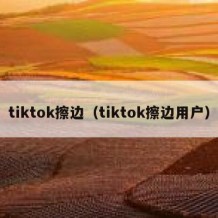 tiktok擦边（tiktok擦边用户）