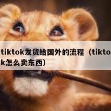 tiktok发货给国外的流程（tiktok怎么卖东西）