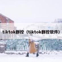 tiktok群控（tiktok群控软件）