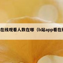 b站在线观看人数在哪（b站app看在线人数）