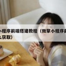 微擎小程序前端搭建教程（微擎小程序前端源码怎么获取）