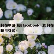 如何在中国使用facebook（如何在中国使用谷歌）