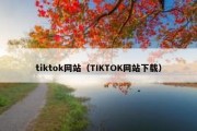 tiktok网站（TIKTOK网站下载）