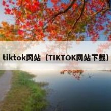 tiktok网站（TIKTOK网站下载）