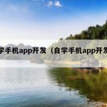 自学手机app开发（自学手机app开发难吗）