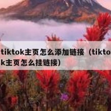 tiktok主页怎么添加链接（tiktok主页怎么挂链接）