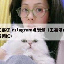 王嘉尔instagram点赞量（王嘉尔点赞网红）