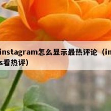 instagram怎么显示最热评论（ins看热评）