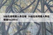 b站在线观看人数在哪（b站在线观看人数在哪里hx2903）