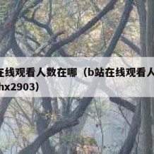 b站在线观看人数在哪（b站在线观看人数在哪里hx2903）