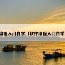 软件编程入门自学（软件编程入门自学资料）