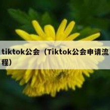 tiktok公会（Tiktok公会申请流程）